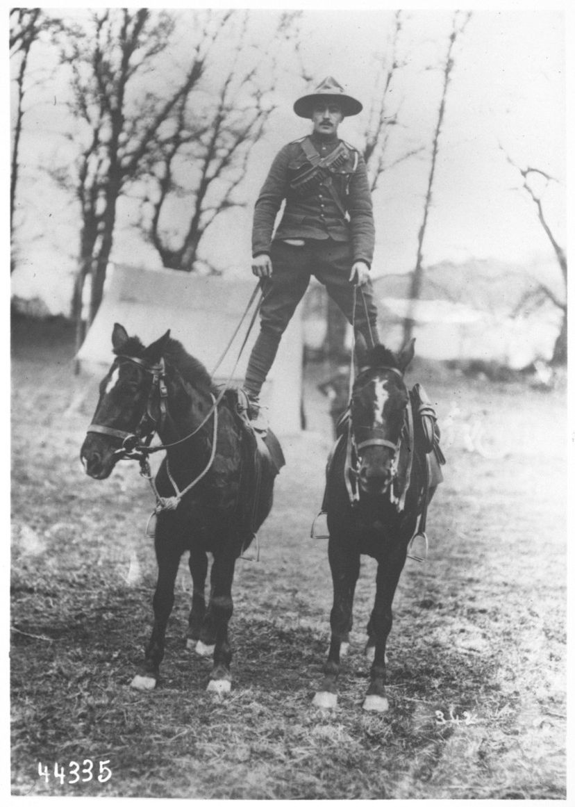 Ein kanadischer Soldat aus dem Jahr 1915 zwischen zwei Pferden